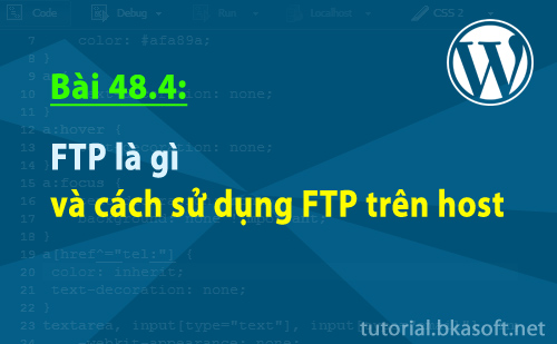Bài 48.4: FTP là gì và cách sử dụng FTP trên host