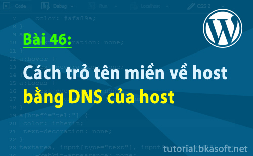 Bài 46: Cách trỏ tên miền về host bằng DNS của host