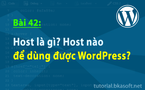 Bài 42: Host là gì? Host nào để dùng được WordPress?